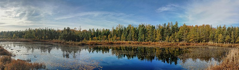 File:Redmond's Pond2.jpg