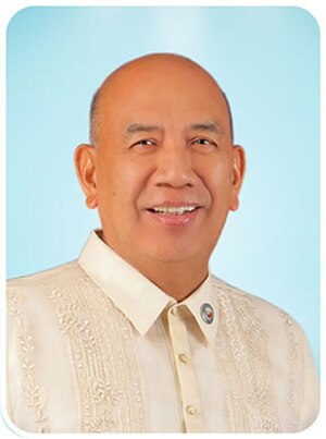 Image: Rep. Danilo Domingo (19th Congress)