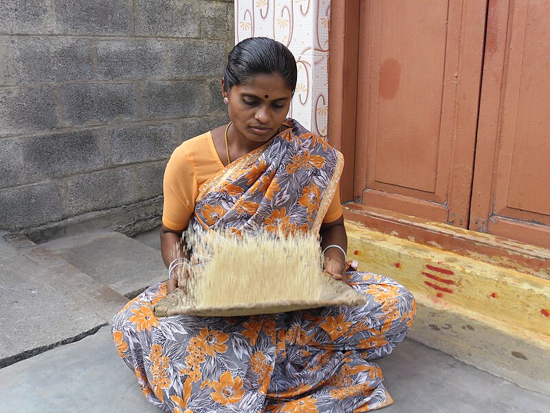 File:Rice winnowing 2.jpg