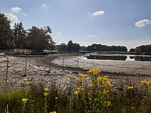 Richmond Park's Upper Pen Pond drained for work on outflow.jpg