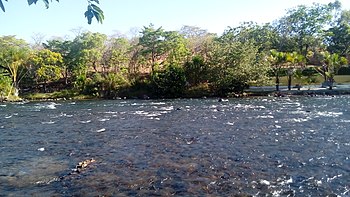 Река таласа Барреирас Бахиа.јпг