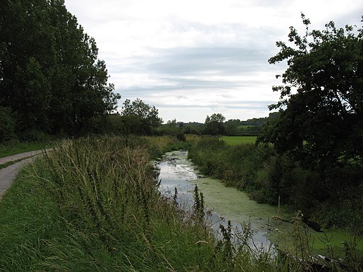 River Axe - geograph.org.uk - 2547058