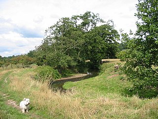 <span class="mw-page-title-main">River Ecclesbourne</span> River in England