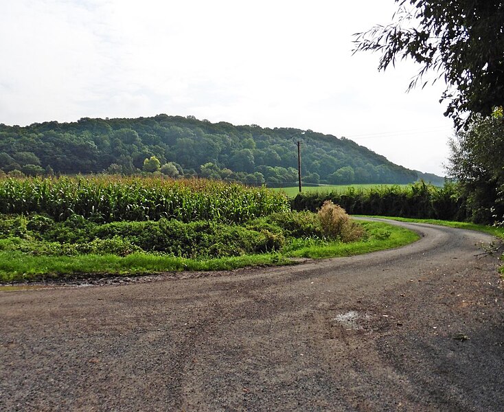 File:Road junction at Fyddler's End - geograph.org.uk - 5128099.jpg