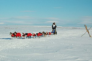 Iditarod Trail Sled Dog Race