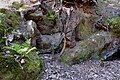 Rockface by the southern rock shelter on Oldbury Hill. [19]