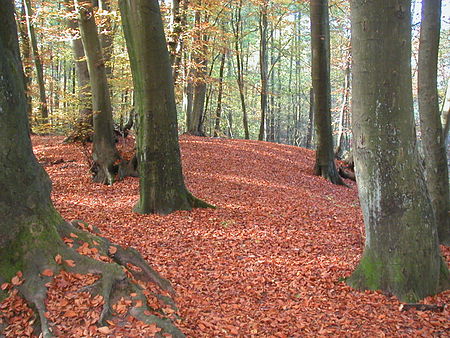 Rodenbeker Quellental