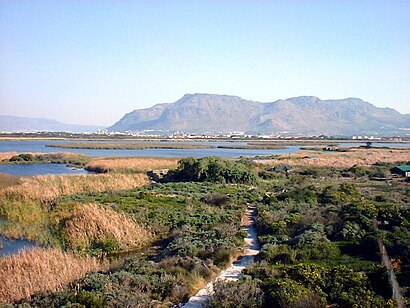 How to get to Rondevlei Nature Reserve with public transport- About the place