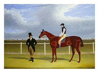 Rowton (horse) British-bred Thoroughbred racehorse