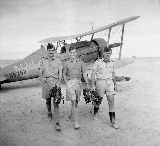 File:Royal Air Force Operations in the Middle East and North Africa, 1939-1943. CM245.jpg