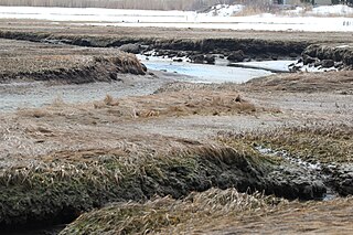 Rye Harbor State Park State park in Rockingham County, New Hampshire