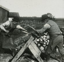 The wood industry relied heavily on hard and at times dangerous manual labor for centuries. Two Swedish workers sawing a trunk in 1905. SLM DIA2022-0193 - Vedsagning for hand i Enhorna, Sodertalje, omkring 1905.tif