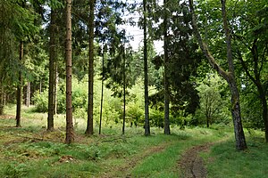 Schleswig-Holstein, Sarlhusen, Landschaftsschutzgebiet Glasberg NIK 7117.JPG