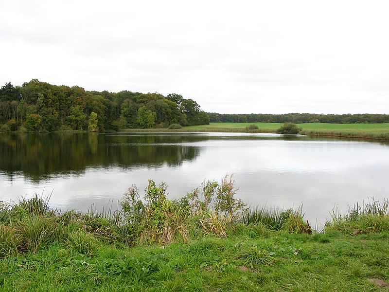 File:Schwarzer See Zickhusen.jpg