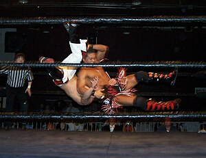 Professional Wrestling Piledriver