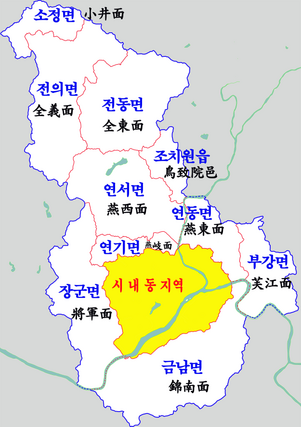 세종특별자치시: 역사, 행정 구역, 세종특별자치시장