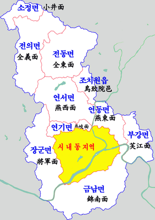 <span class="mw-page-title-main">Jochiwon</span> Eup in South Korea