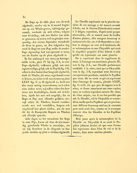 File:Sepp-Surinaamsche vlinders - pl 011 text2 Pyrrhogyra neaerea.jpg