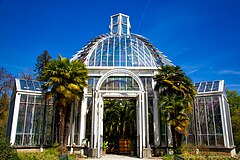 Serre tempérée - Conservatoire et Jardin botaniques de la ville de Genève (46728595895).jpg 