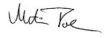 Signature of Metin Tolan.jpg