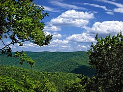 Sinnemahoning State Park Outlook.jpg