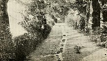 Site of the murder of James P. Barnes, pictured c. 1909 Site of the murder of James P. Barnes.jpg