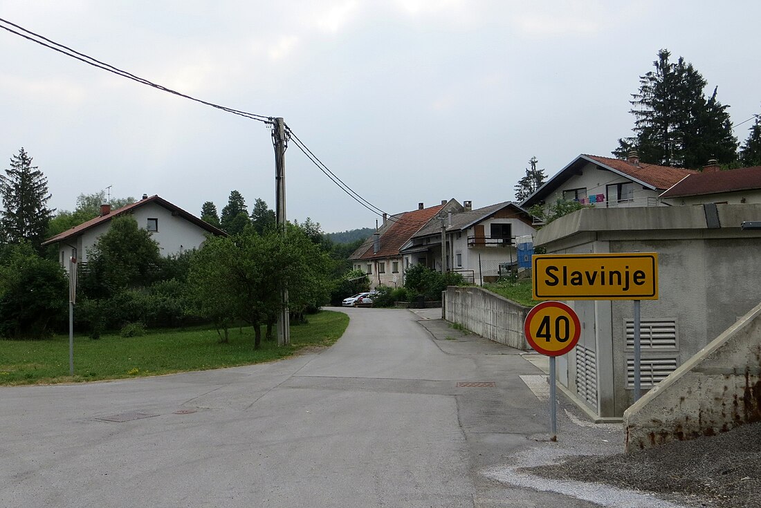 Slavinje