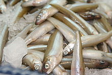 Close-up of smelt for sale at a California seafood market Smelt.jpg