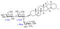 2009年11月15日 (日) 13:41版本的缩略图