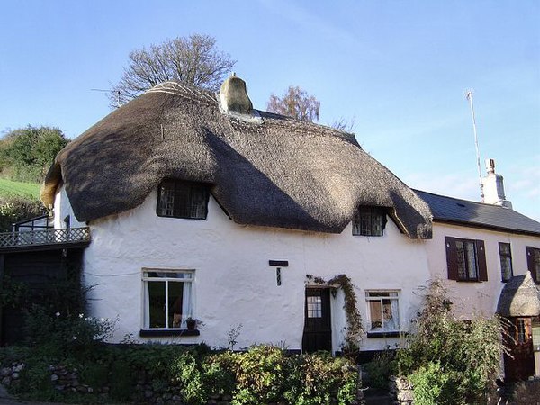 A typical cottage in Devon, with walls built of cob and a thatched roof.