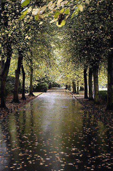 File:St. Stephens Green Park in Dublin (256706984).jpg