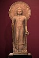 Standing Buddha Installed by Buddist Monk Yasadinna - Circa 5th Century CE - Jamalpur Mound - ACCN 00-A-5 - Government Museum Mathura Red background.jpg