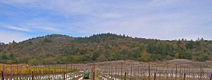 Mayacamas Mountains headwaters reach area of Santa Rosa Creek