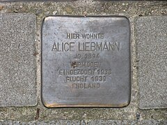 Stolperstein Alice Liebmann, 1, Geleitsstraße 105, Offenbach am Main.jpg