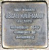 Stolperstein Stübbenstr 1 (Schöb) Oscar Kaufmann.jpg