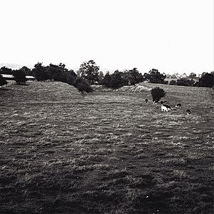 Stretford Bridge Halt station (1950s).JPG