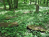 Čeština: Ležící náhrobky na Třebotovském židovském hřbitově. Okres Praha-západ, Česká republika. English: Lying tombstones on the jewish cemetery in Třebotov village, Prague-West District, Czech Republic.