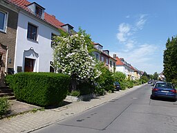 Leonhardyweg Berlin