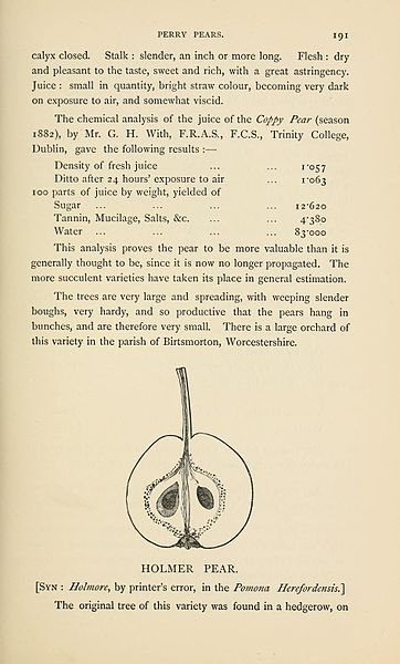 File:The Apple and pear as vintage fruits (Page 191) BHL6364698.jpg