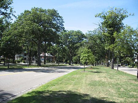 The Arborway