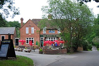 <span class="mw-page-title-main">Hammer Bottom</span> Hamlet in Hampshire, England