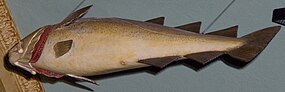 A view from below of a carved, painted fish suspended from a vaulted ceiling.