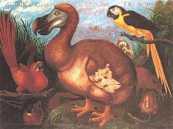 Dodo, Birds Wiki