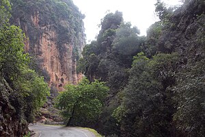 English: Theriso gorge, Crete Polski: Wąwóz Theriso, (Kreta Ελληνικά: Θέρισο Φαράγγι, Κρήτη