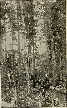 Melalui belantara; sebuah catatan olahraga dan petualangan di hutan-hutan di New Hampshire dan Maine (1892) (14586633610).jpg