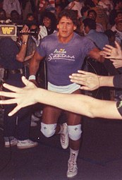 Tito Santana: Anfänge, Karriere, Nach dem Wrestling