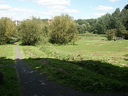 Toll's Meadow, Wymondham - geograph.org.uk - 45294.jpg