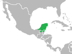 Meleagris Ocellata: Distribución, Características, Historia natural