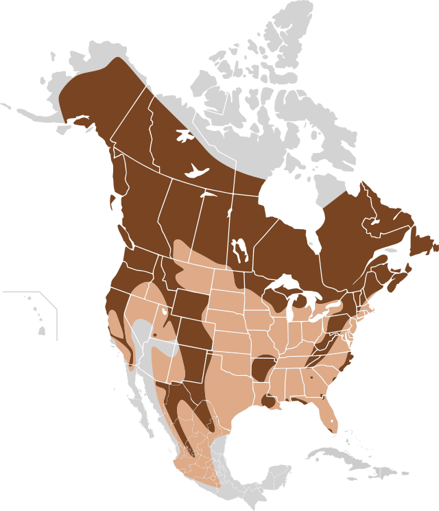 Description de l'image Ursus americanus map.svg.