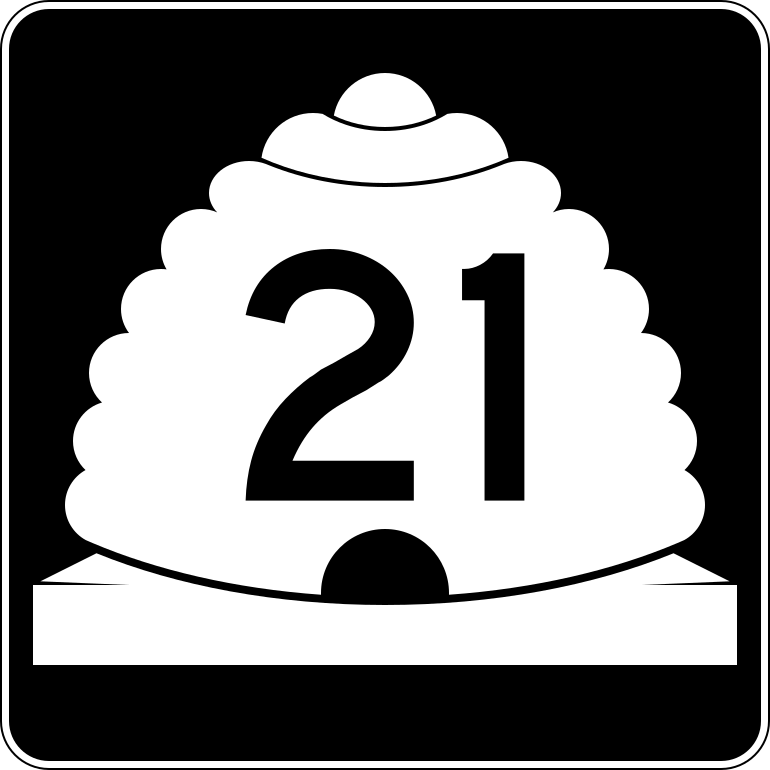 21 svg. Номер 21 картинки.